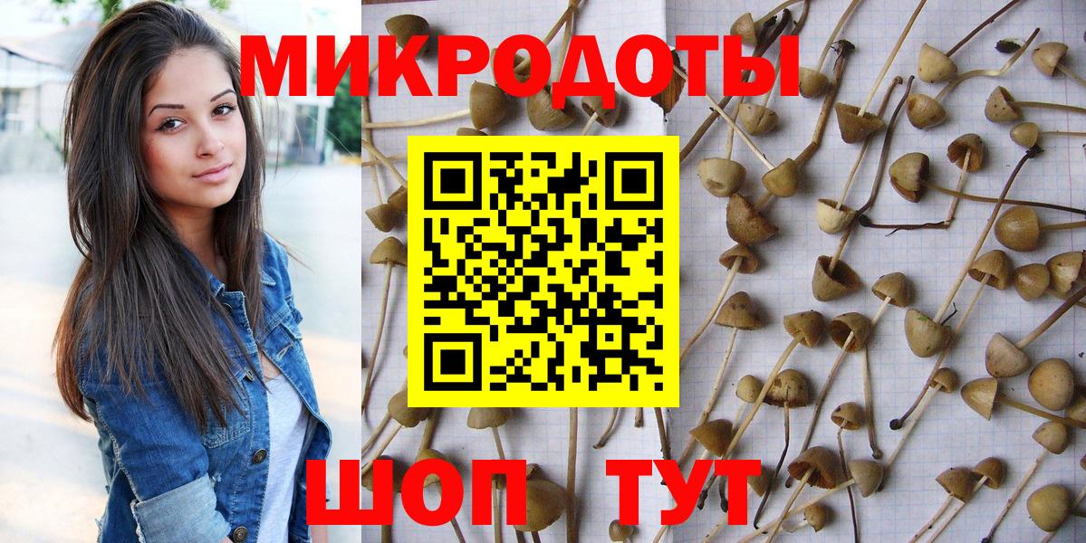 Псилоцибиновые грибы Magic Shrooms  Вход с VPN  купить закладку  Элиста 